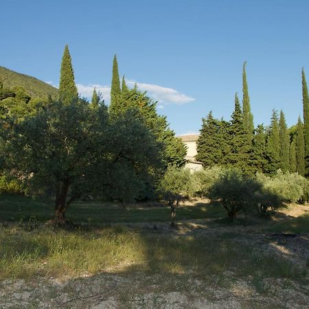Mas provençal La Serallère au coeur des oliviers Venterol (Drome) Exterior foto