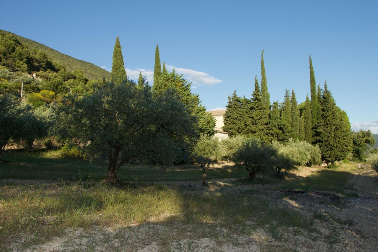 Mas provençal La Serallère au coeur des oliviers Venterol (Drome) Exterior foto