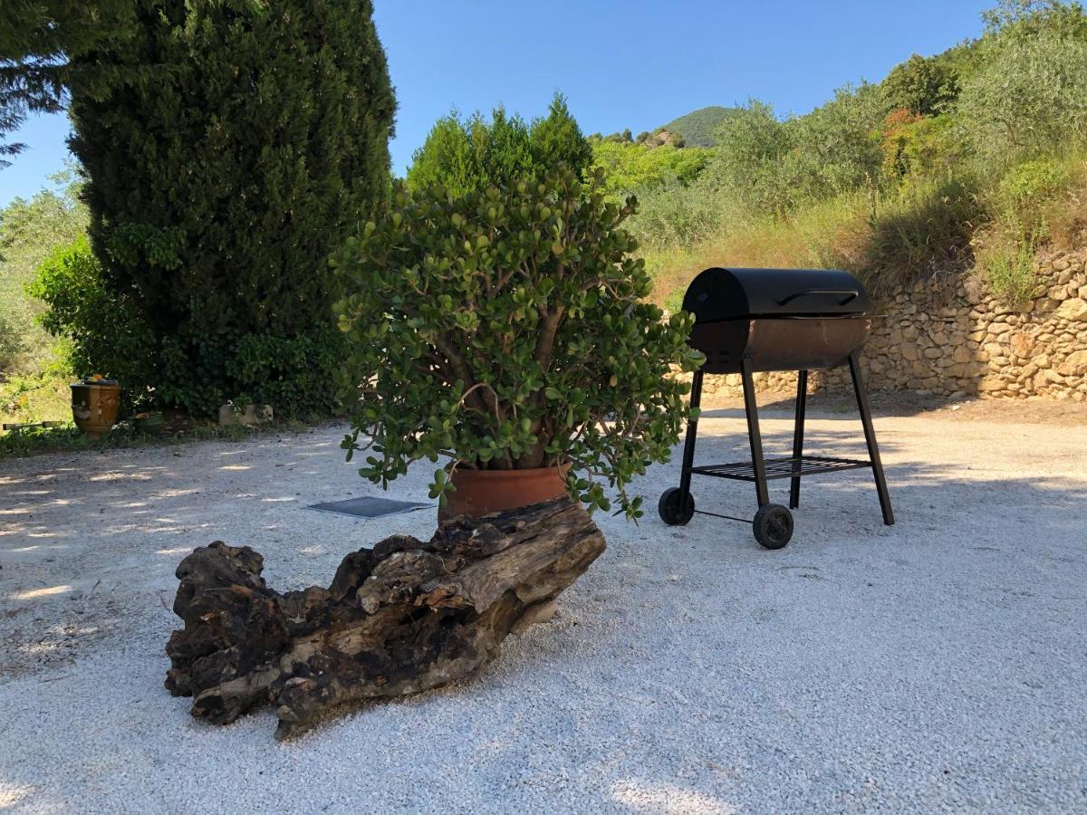 Mas provençal La Serallère au coeur des oliviers Venterol (Drome) Exterior foto